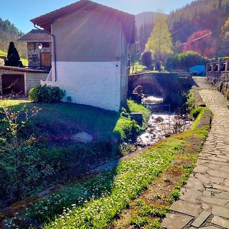 Apartament Errekaondo Areatza Zewnętrze zdjęcie